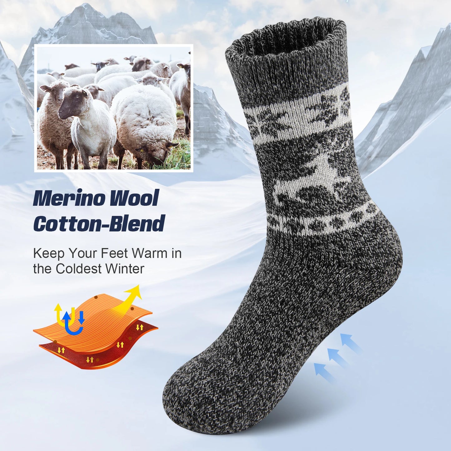 Merino Mastery: Winter Wool Comfort